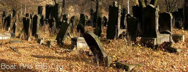 nowy cmentarz żydowski | krótka historia
